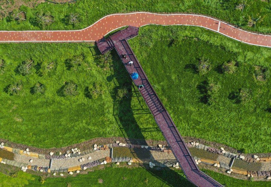 時(shí)政微觀察丨東北全面振興的&ldquo;天時(shí)地利人和&rdquo;