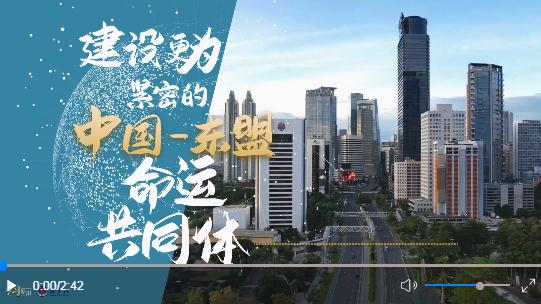 學習原聲丨建設(shè)更為緊密的中國—東盟命運共同體