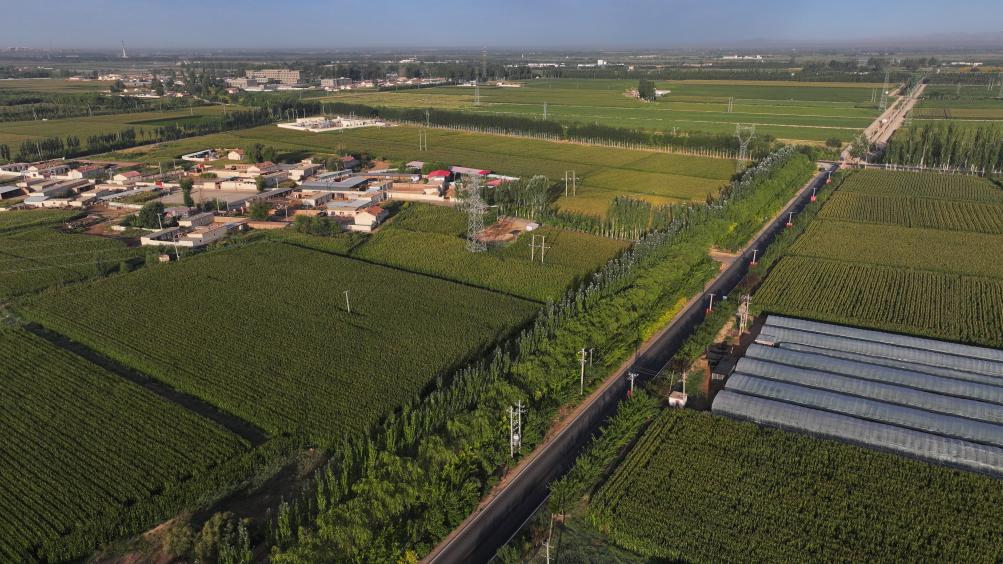 新時(shí)代新征程新偉業(yè)·習(xí)近平總書記關(guān)切事丨黃河之水天上來，奔流到此“青”幾許——黃河“幾字彎”生態(tài)治理一線故事