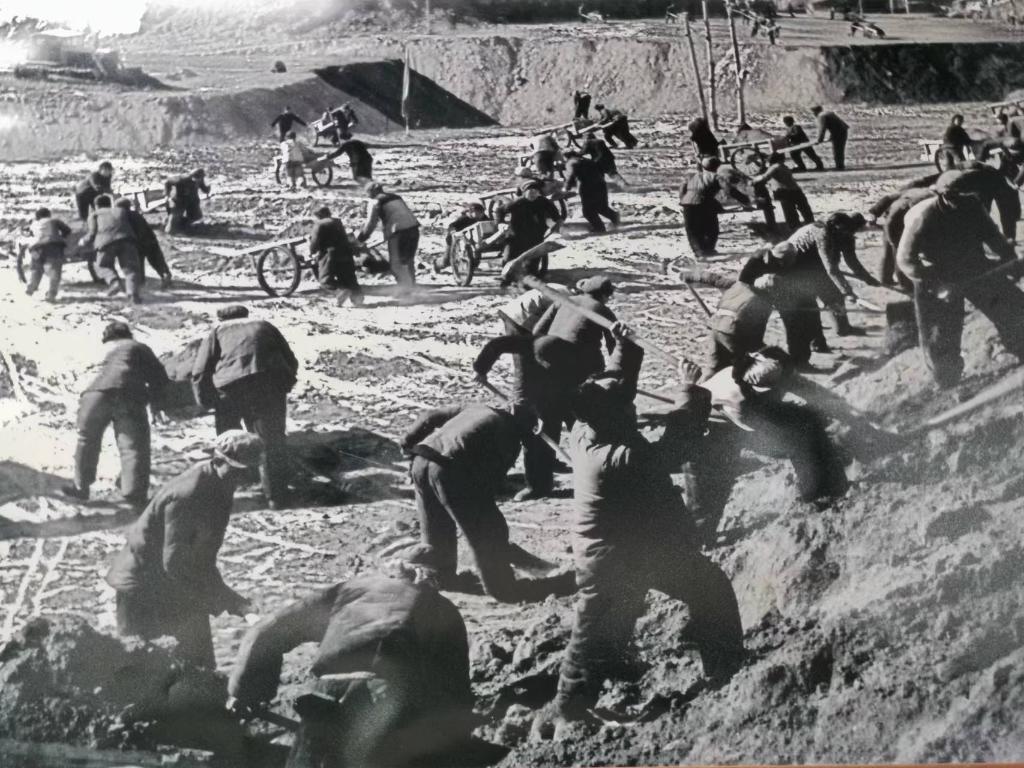 新時代新征程新偉業(yè)·習(xí)近平總書記關(guān)切事丨黃河之水天上來，奔流到此“青”幾許——黃河“幾字彎”生態(tài)治理一線故事