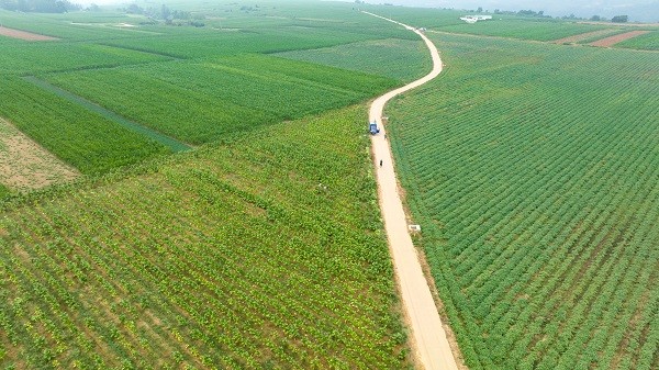 中原“豐”味丨河南各地秋收?qǐng)D景搶“鮮”上市！這些成語(yǔ)藏在其中