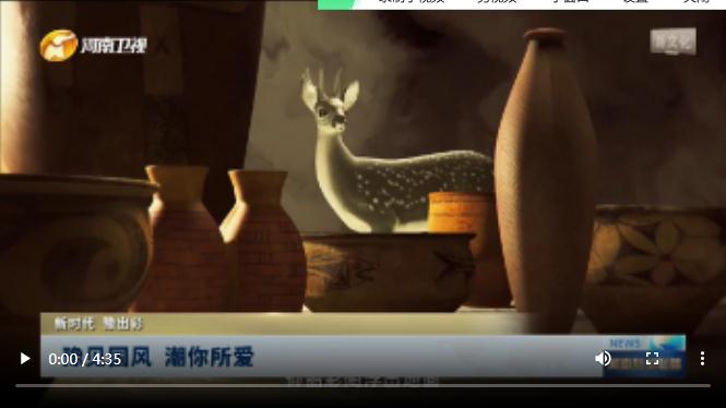 豫見國風(fēng) 潮你所愛|新時代 豫出彩