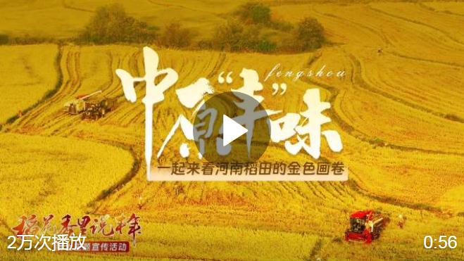 #河南被金色刷屏了#【金秋稻花香！《中原“豐”味》描繪河南秋收畫卷】秋風拂面，金黃稻浪隨風起舞，果實芳香彌漫空中。在這金秋大好時節(jié)，中原大地呈現(xiàn)出一派繁忙景象…… #稻花香里說豐年# 大河網(wǎng)的微博視頻