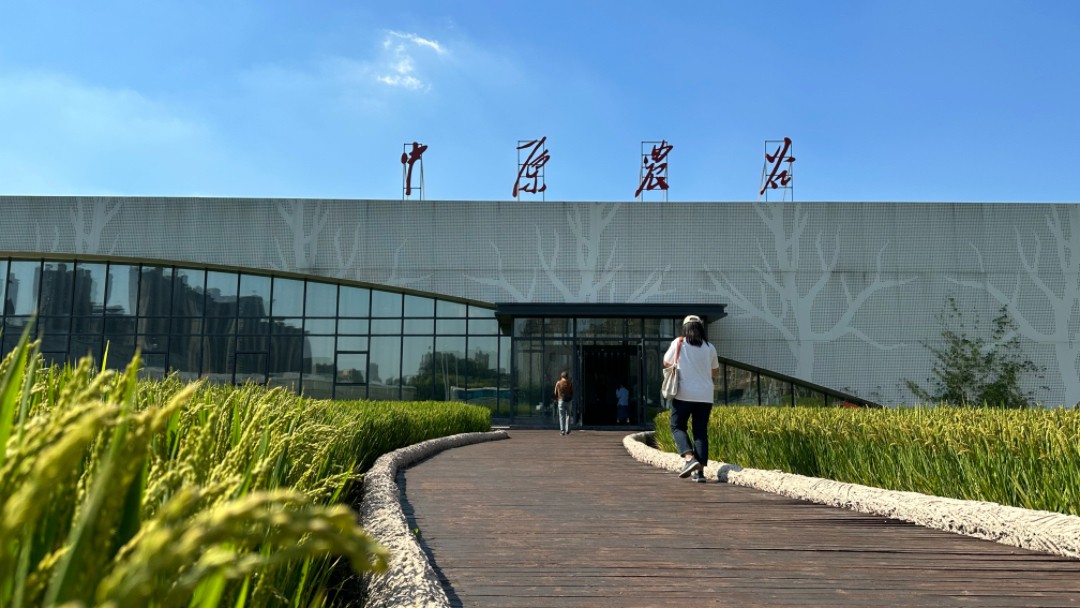 從工業(yè)到農(nóng)業(yè) 看新鄉(xiāng)如何破解&ldquo;數(shù)智密碼&rdquo;