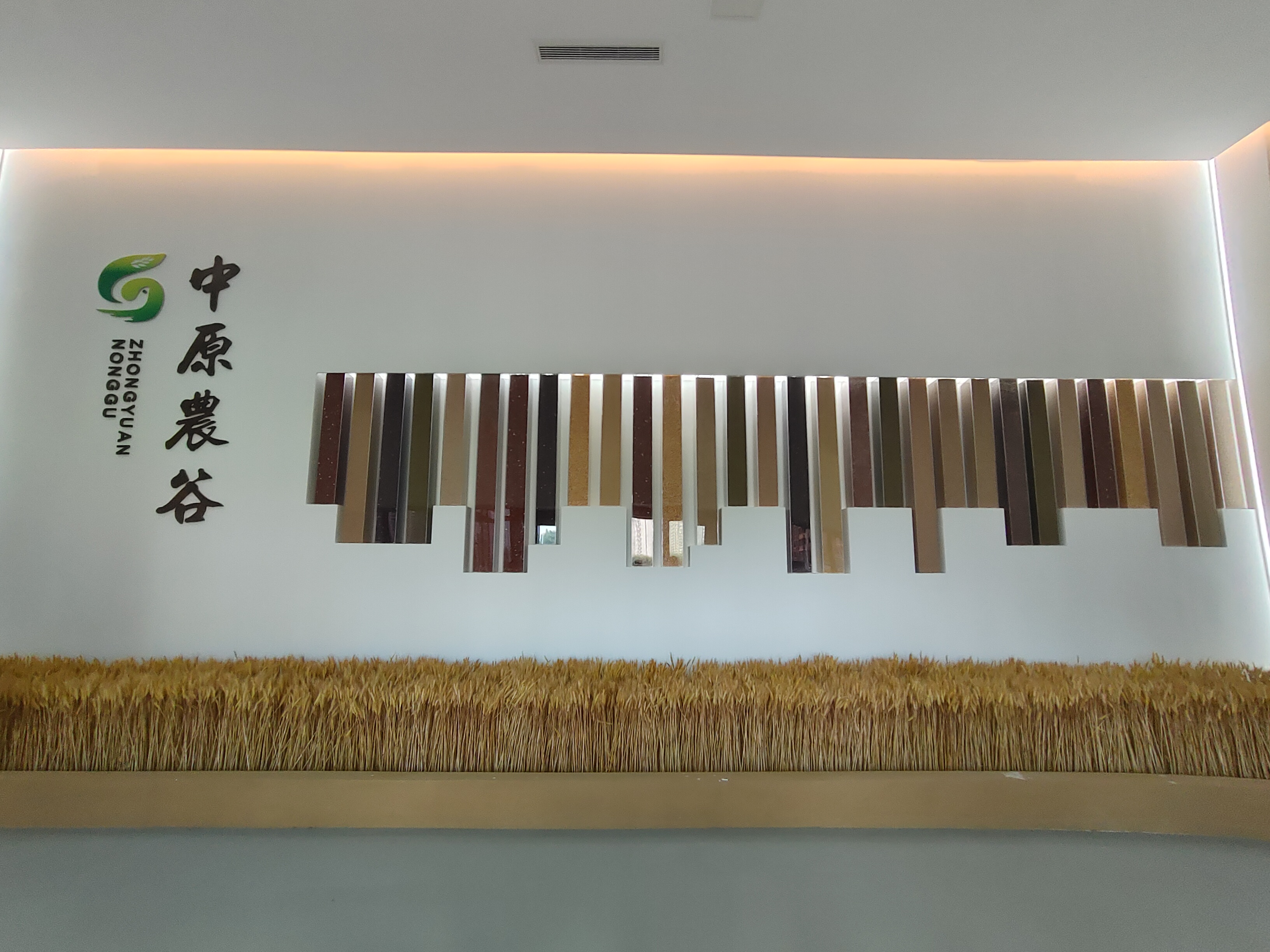 數(shù)智賦能新鄉(xiāng)造，看新鄉(xiāng)如何打響產(chǎn)業(yè)轉(zhuǎn)型新名片