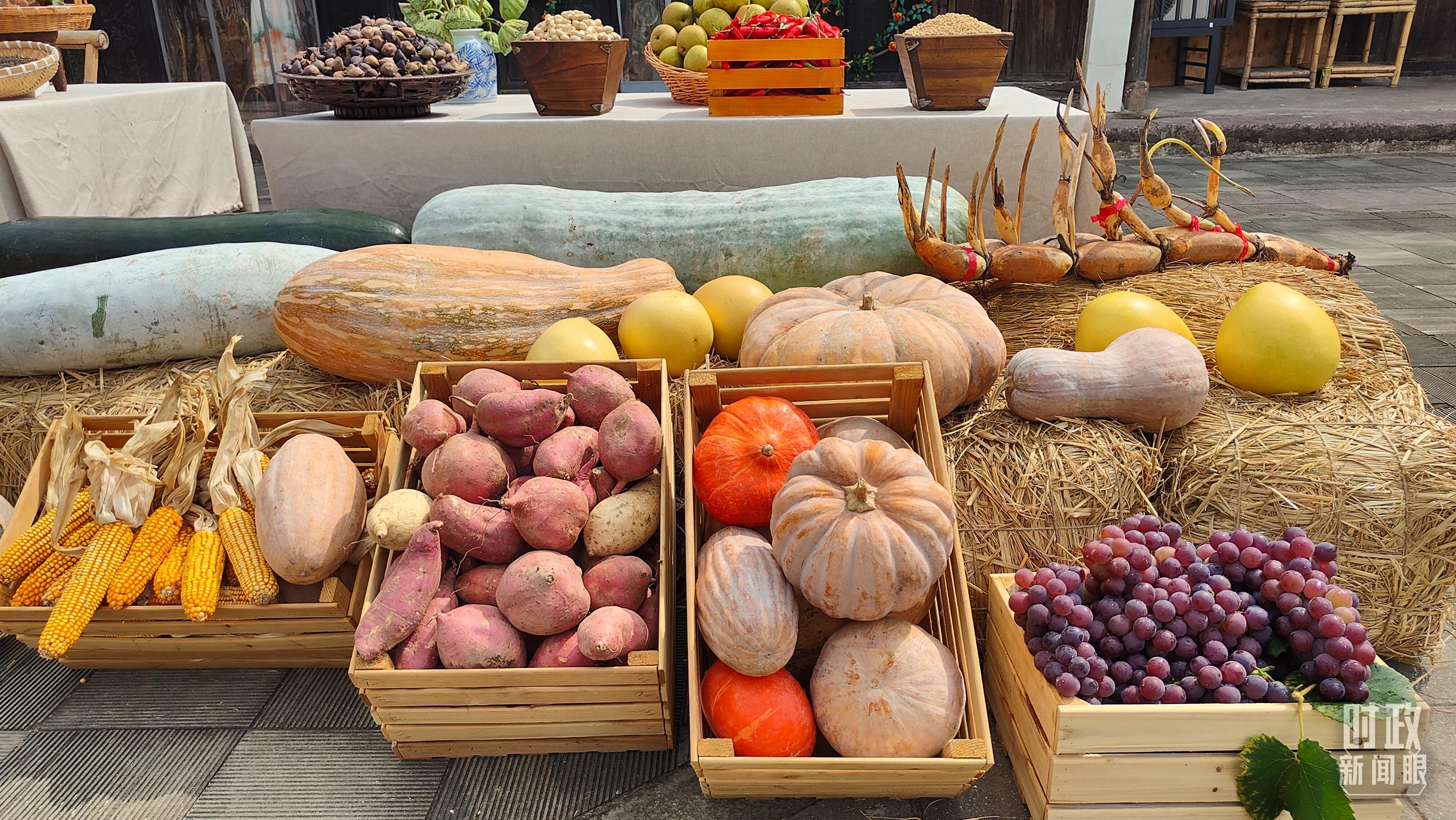 時(shí)政新聞眼丨杭州亞運(yùn)會開幕前夕，習(xí)近平赴浙江考察