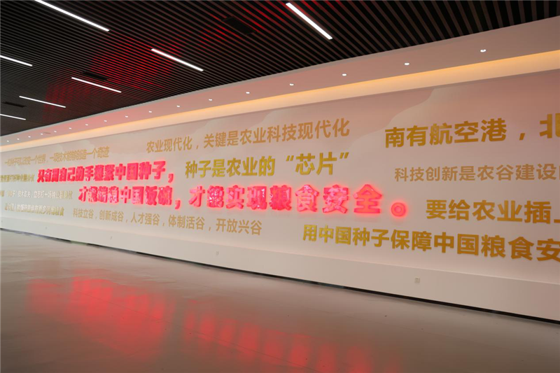 河南新鄉(xiāng)：中原農(nóng)業(yè)強(qiáng)勢(shì)崛起 鑄就中國(guó)&ldquo;糧食長(zhǎng)城&rdquo;