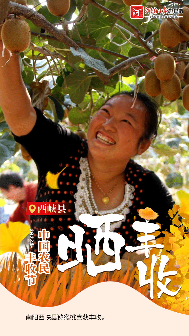 海報(bào) | 豐收節(jié)，曬豐收！（一）