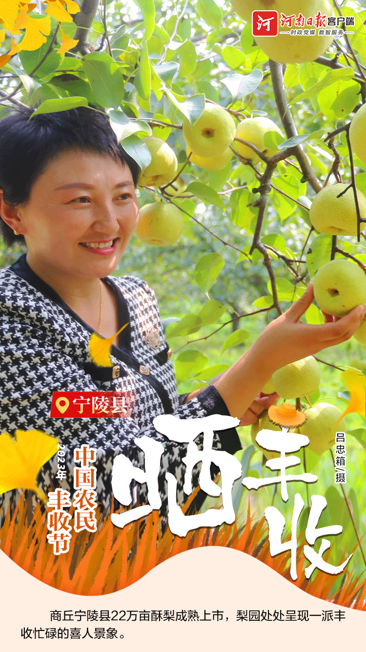 海報(bào) | 豐收節(jié)，曬豐收?。ㄒ唬? /></p>
<p style=