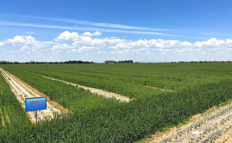 豐收之美｜“農(nóng)，天下之本”