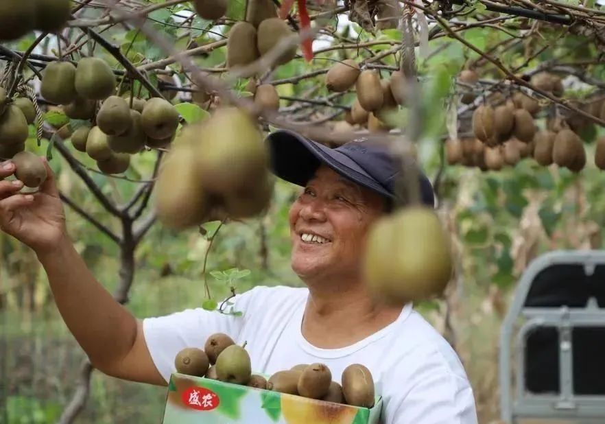 豐收之美｜“農(nóng)，天下之本”