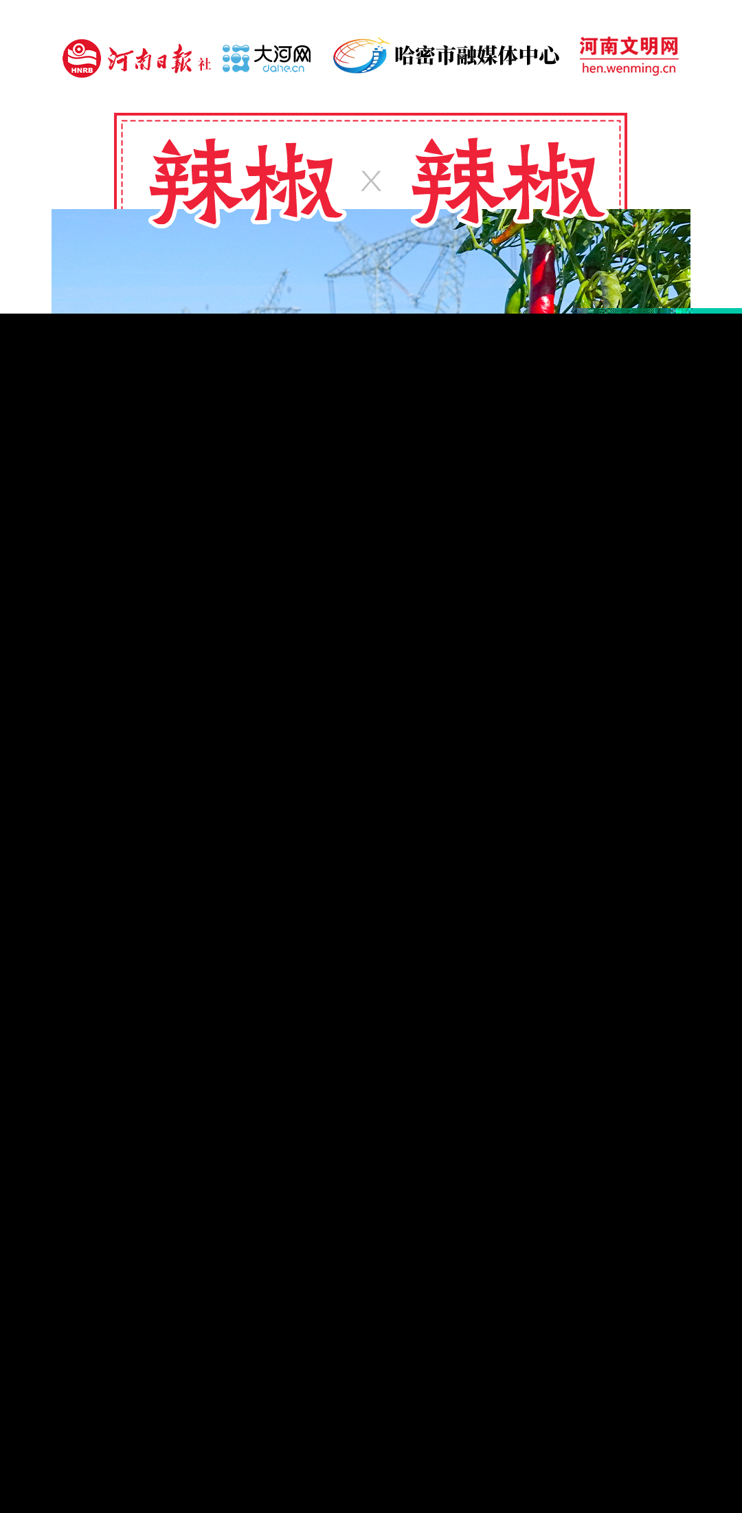 稻花香里說豐年丨豫哈“豐”景 平分秋色