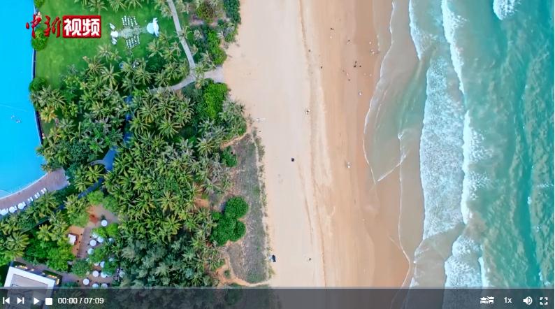 時政微視頻 | 鄉(xiāng)村振興要靠產(chǎn)業(yè)！習(xí)近平三次海南鄉(xiāng)村行