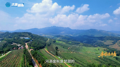 “國色天香”的河洛之地有多少美味？洛陽農(nóng)業(yè)農(nóng)村局局長帶你嘗美食賞美景！