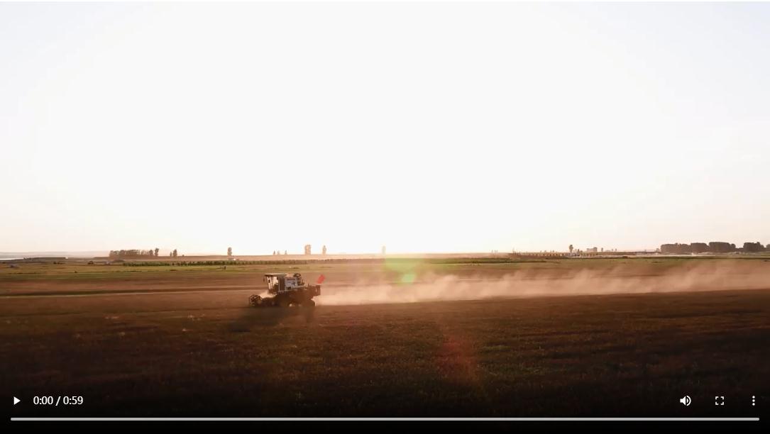 時習(xí)之 豐收之美｜讓&ldquo;中國碗&rdquo;裝滿&ldquo;中國糧&rdquo; 總書記田間地頭話農(nóng)耕