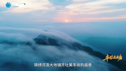 “國色天香”的河洛之地有多少美味？洛陽農(nóng)業(yè)農(nóng)村局局長帶你嘗美食賞美景！