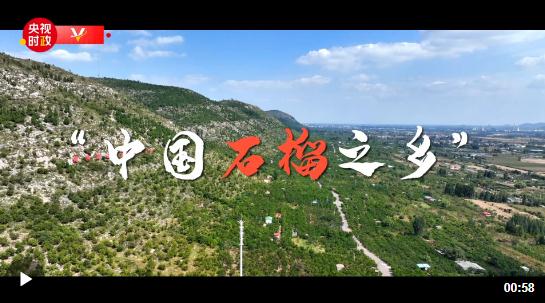 習(xí)近平山東行丨走進棗莊市冠世榴園