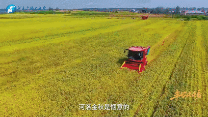 “國色天香”的河洛之地有多少美味？洛陽農(nóng)業(yè)農(nóng)村局局長帶你嘗美食賞美景！