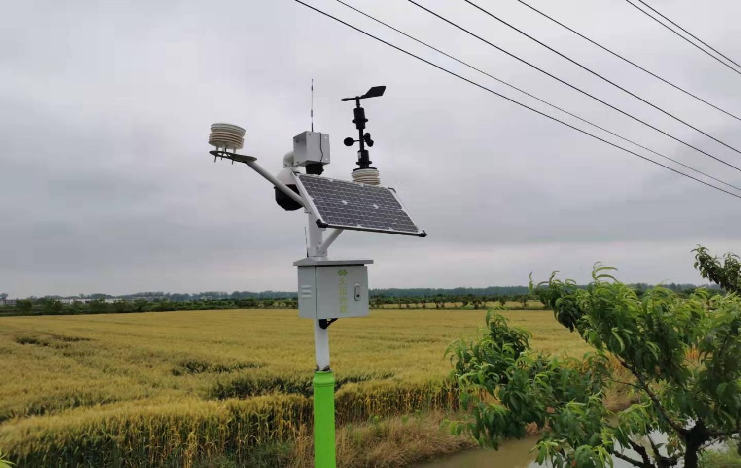 稻花香里說(shuō)豐年丨忙收割、忙接單……中原大地全面進(jìn)入“收秋時(shí)間”