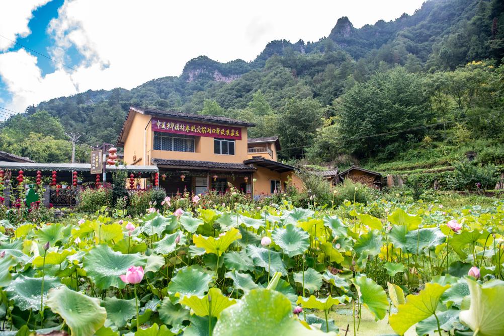 新時代新征程新偉業(yè)·習(xí)近平總書記關(guān)切事丨奔跑吧，我的村寨——重慶華溪村蹲點調(diào)研筆記