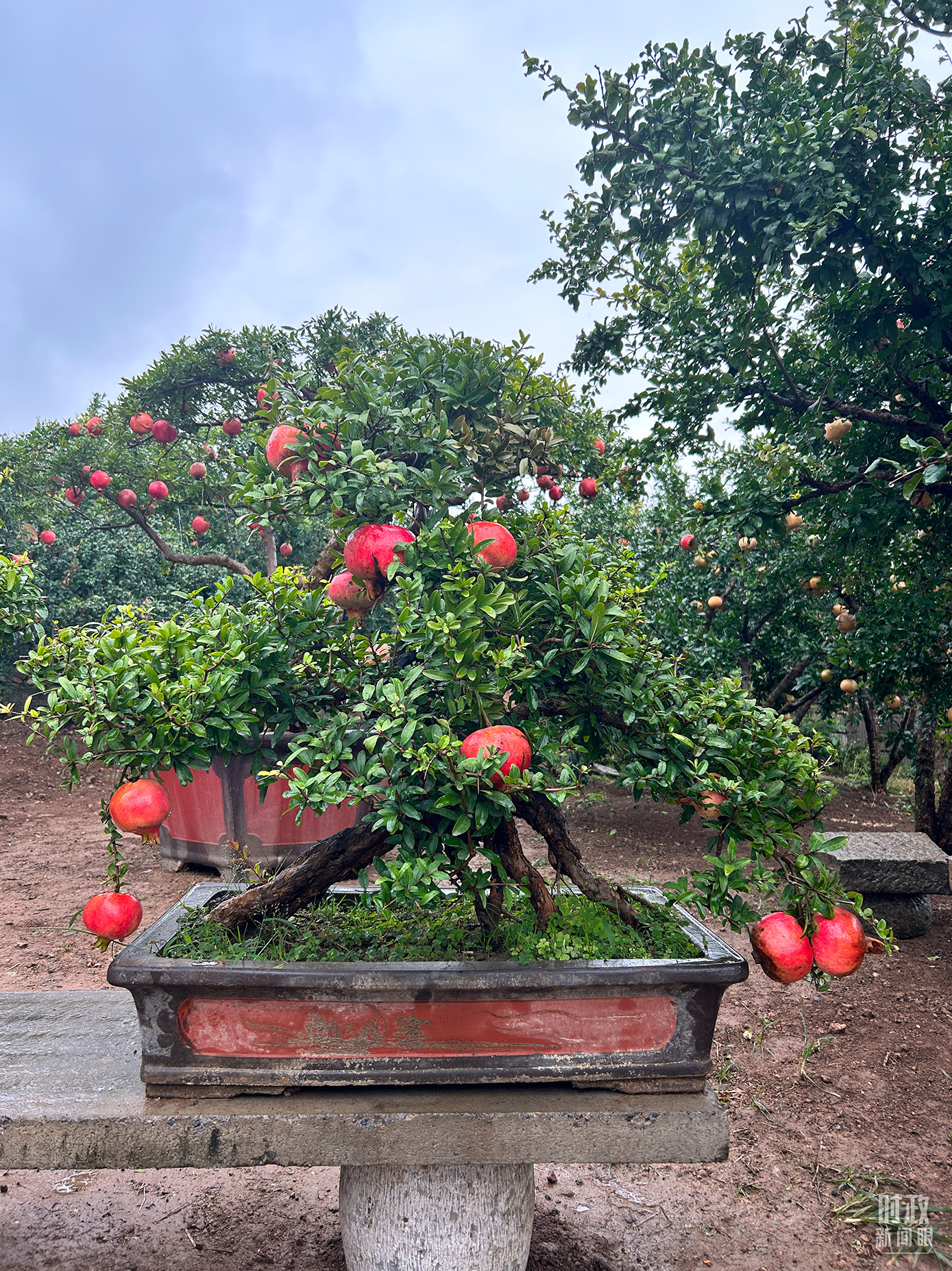 時(shí)政新聞眼丨從浙江到山東棗莊，習(xí)近平這一次考察重點(diǎn)強(qiáng)調(diào)了什么？