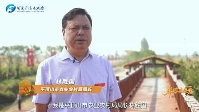 鷹城還盛產(chǎn)韭菜和肉鴿？平頂山農(nóng)業(yè)農(nóng)村局局長@你來富硒糧倉曬早秋！