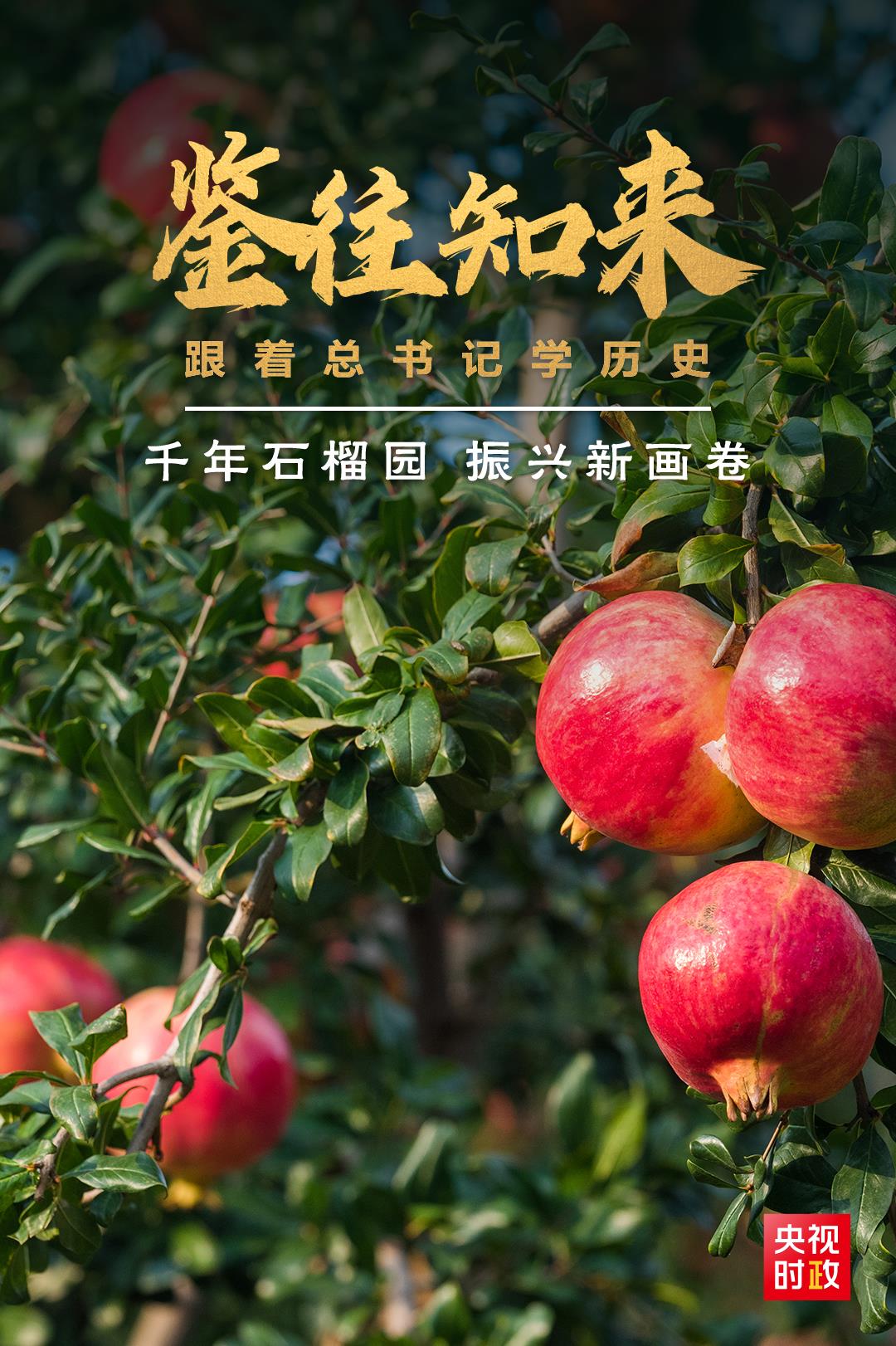 鑒往知來，跟著總書記學(xué)歷史丨千年石榴園 振興新畫卷