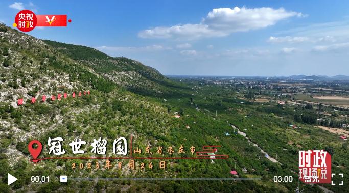時(shí)政現(xiàn)場(chǎng)說(shuō)丨山東棗莊：小石榴譜寫(xiě)產(chǎn)業(yè)振興大文章