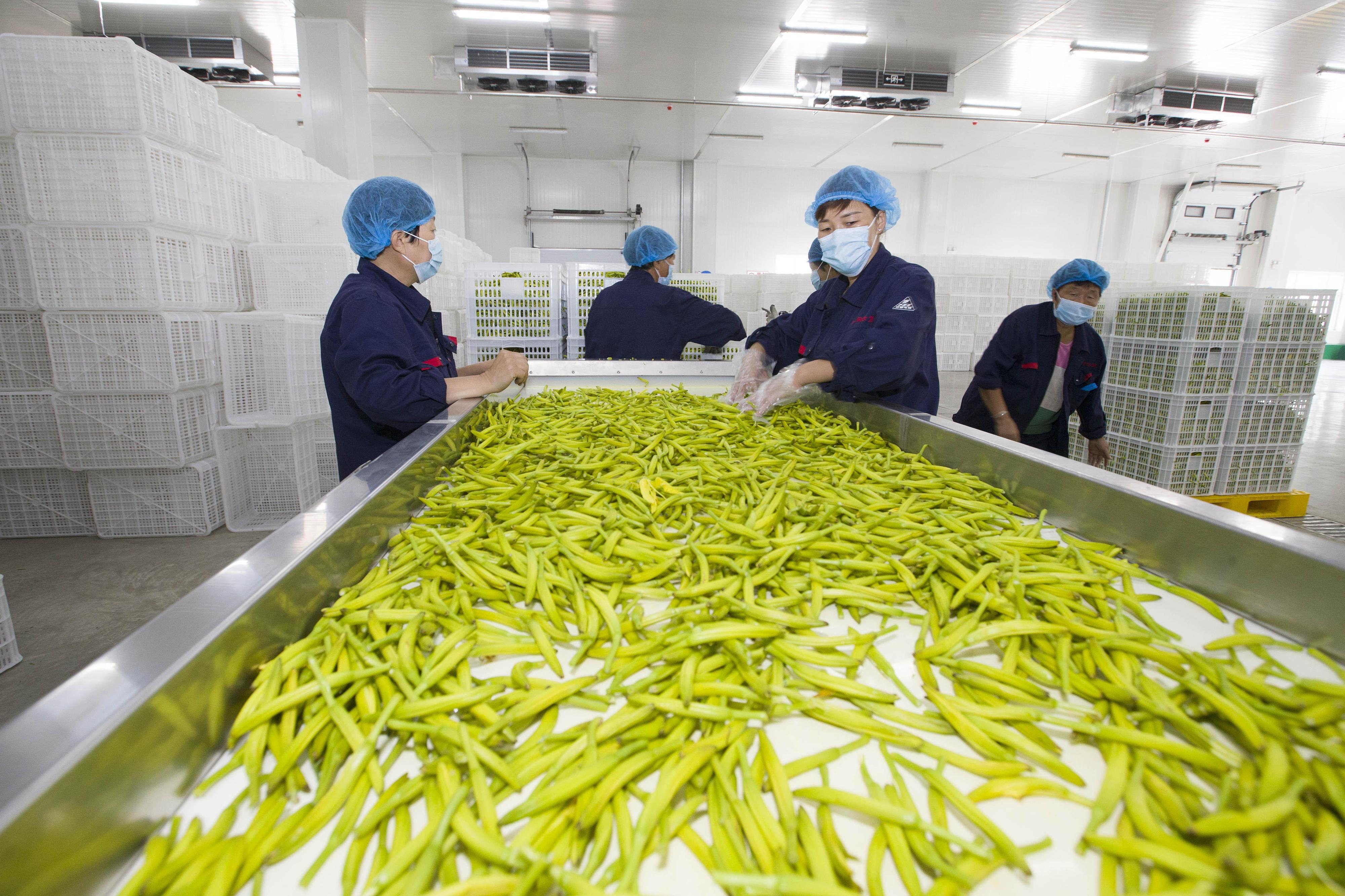 熱解讀｜火紅石榴如何帶來(lái)紅火生活 總書(shū)記再談這篇“大文章”