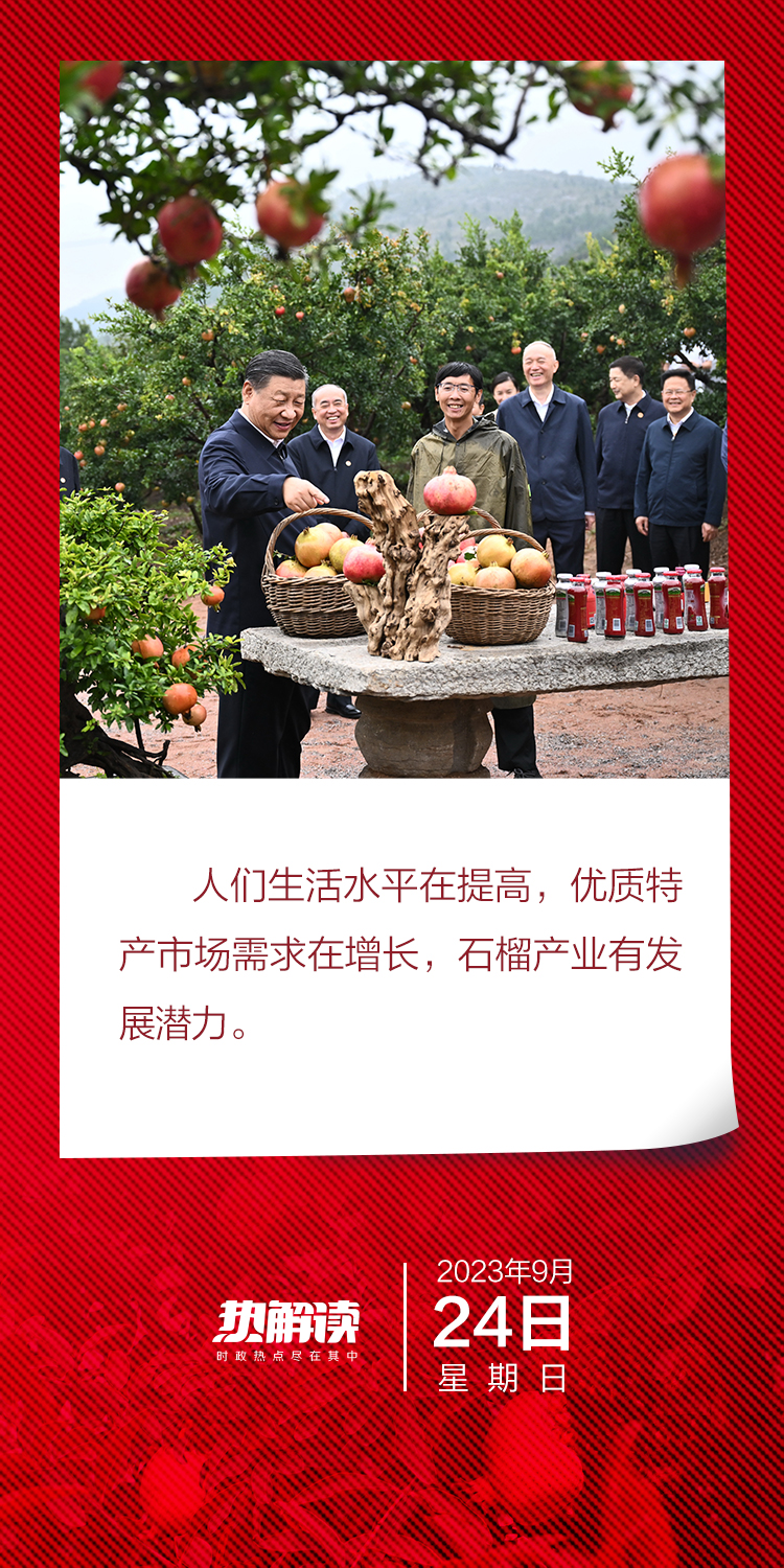 熱解讀｜火紅石榴如何帶來(lái)紅火生活 總書(shū)記再談這篇“大文章”