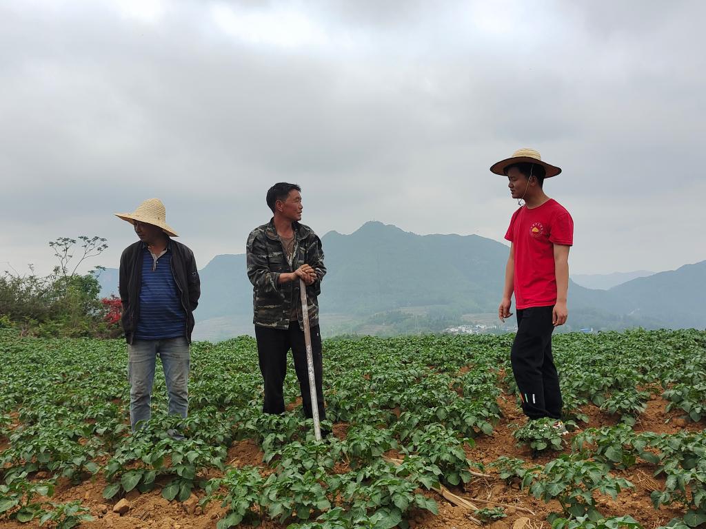 新時代新征程新偉業(yè)·習(xí)近平總書記關(guān)切事丨努力建設(shè)貫徹新發(fā)展理念的示范區(qū)——來自烏蒙山腹地的探索實踐故事