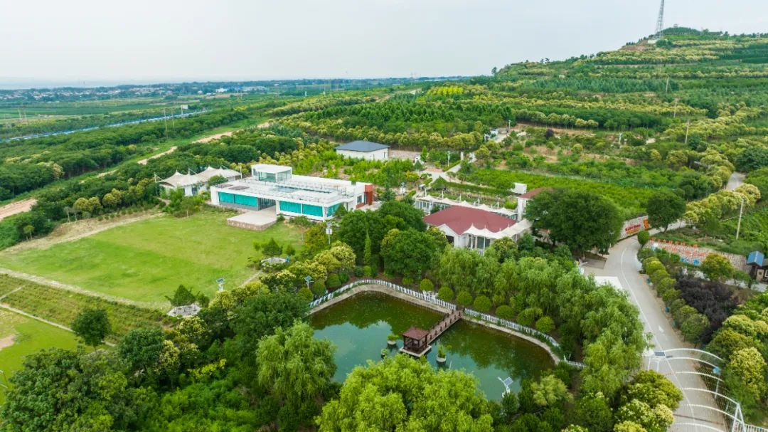 十年如一日，他們堅(jiān)守在建設(shè)綠水青山的第一線