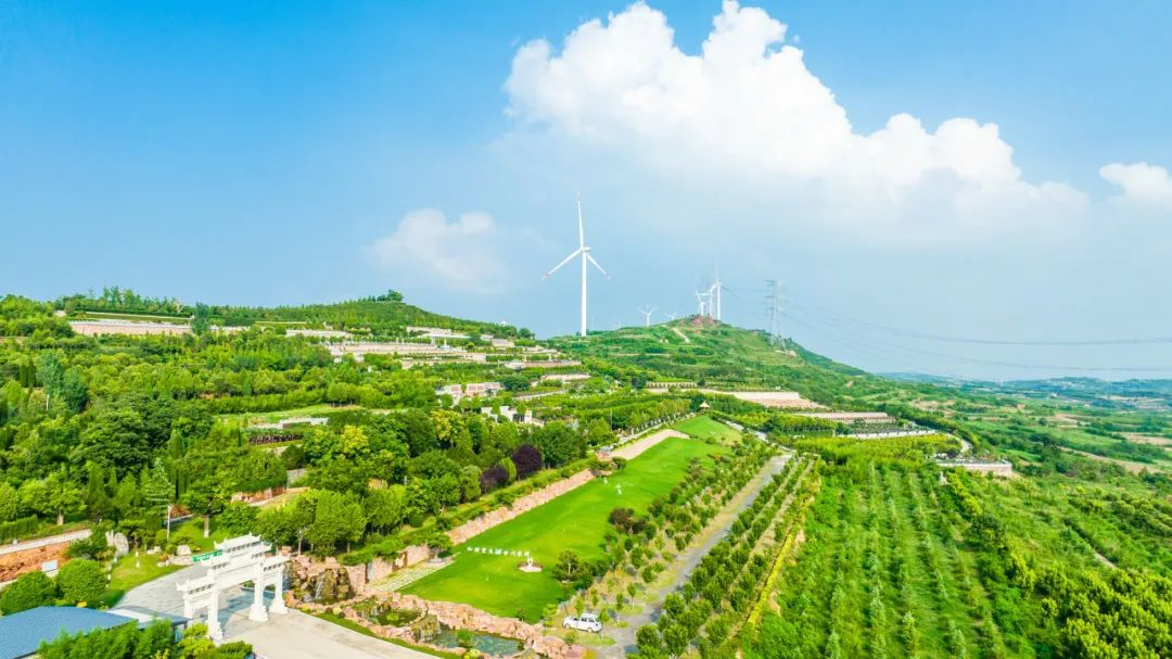 十年如一日，他們堅(jiān)守在建設(shè)綠水青山的第一線