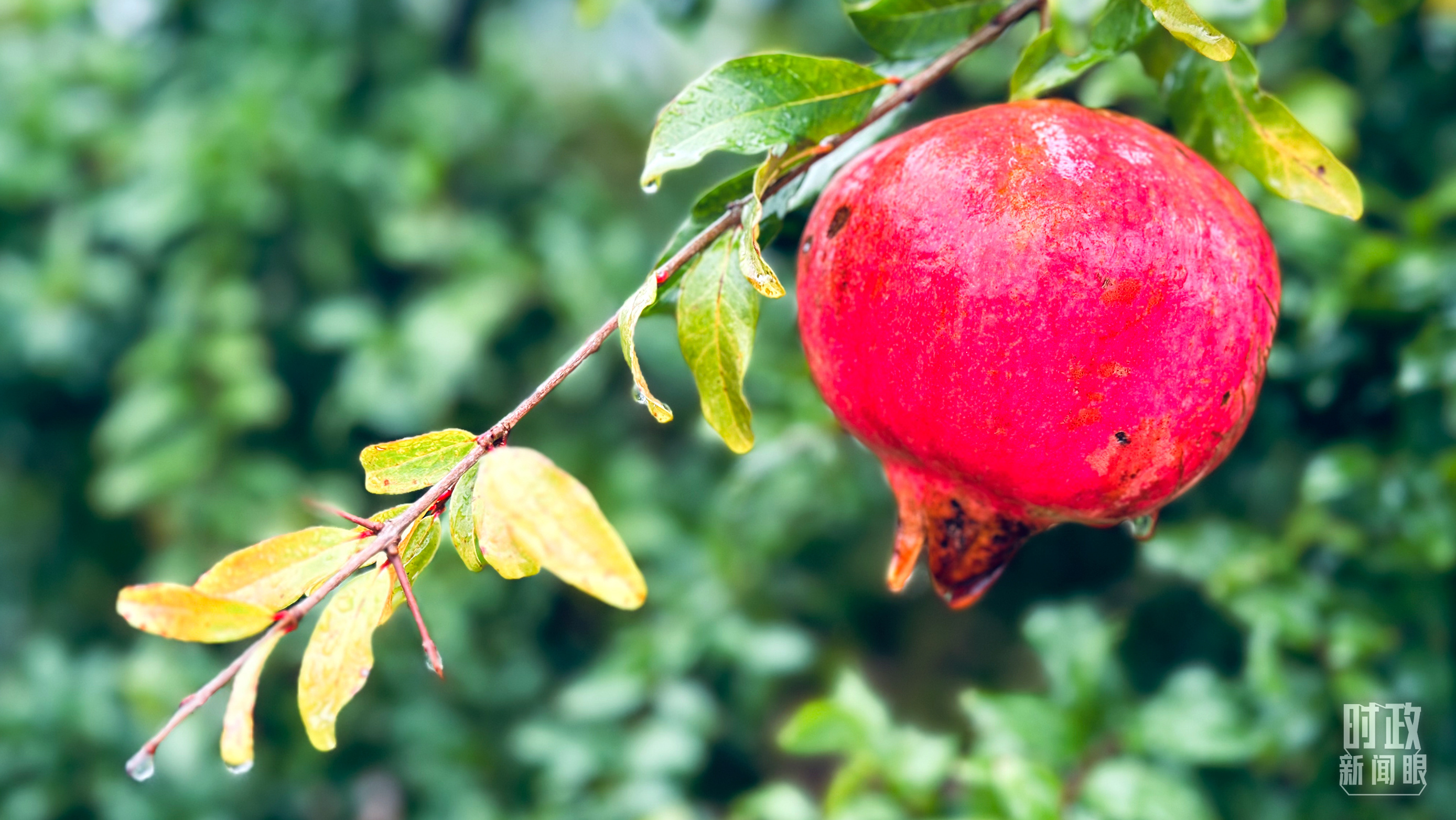 時(shí)政新聞眼丨在國(guó)慶招待會(huì)上，習(xí)近平強(qiáng)調(diào)“團(tuán)結(jié)就是力量，信心賽過(guò)黃金”