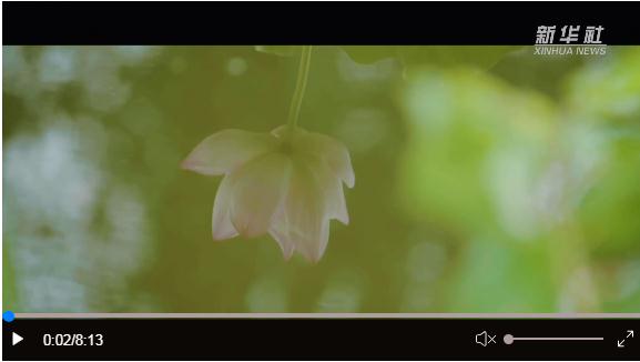 跟著總書記探尋中華文脈丨古祠風韻，遇見三蘇祠！