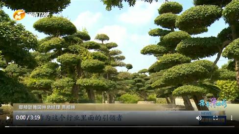 當(dāng)國(guó)慶遇上中秋，看河南十八地市“豫拼豫出彩”