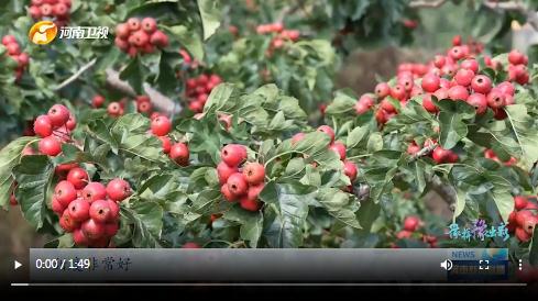 當(dāng)國(guó)慶遇上中秋，看河南十八地市“豫拼豫出彩”