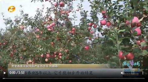 當(dāng)國(guó)慶遇上中秋，看河南十八地市“豫拼豫出彩”