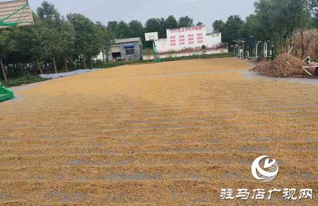 平輿縣東皇街道:全力守護群眾的“糧袋子”