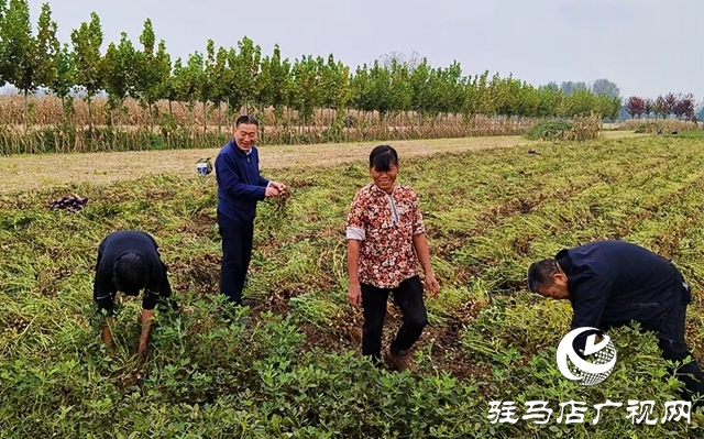 平輿縣東皇街道:全力守護群眾的“糧袋子”