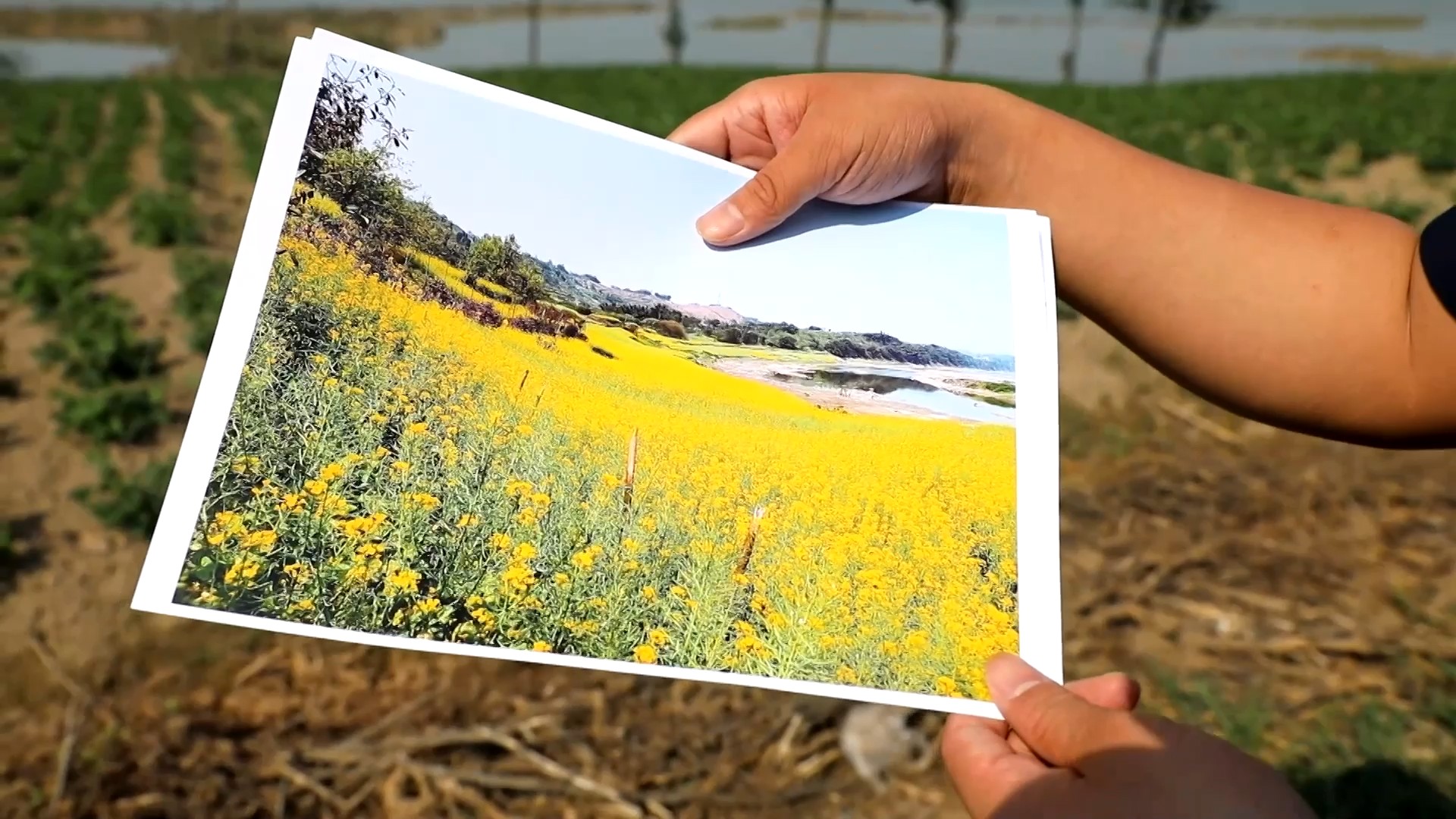 重磅視頻｜萬(wàn)里長(zhǎng)江萬(wàn)里情