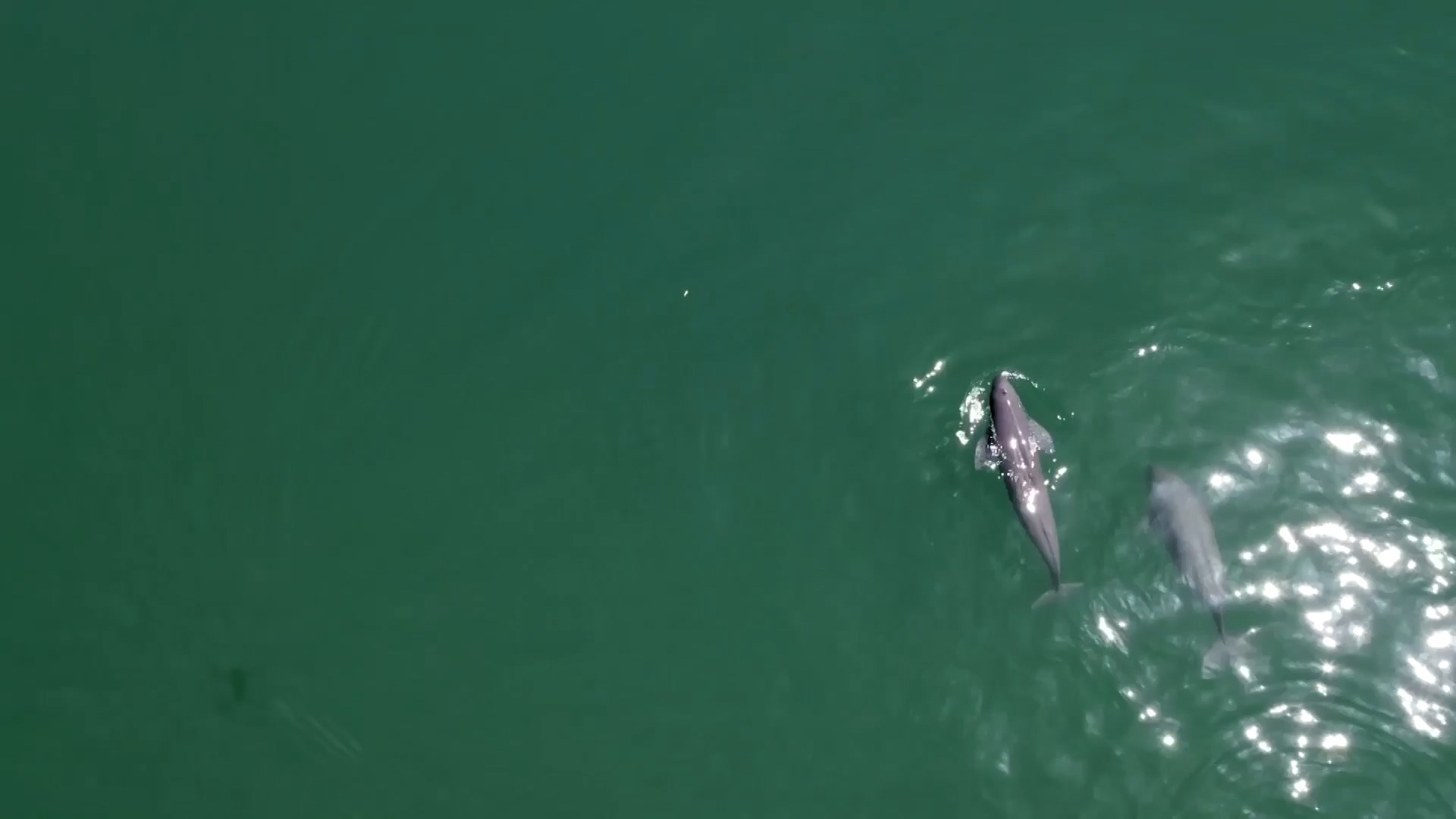 重磅視頻｜萬(wàn)里長(zhǎng)江萬(wàn)里情