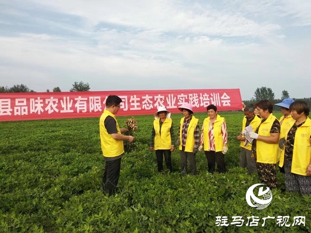 正陽縣:特色種植打造鄉(xiāng)村產(chǎn)業(yè)靚點(diǎn)