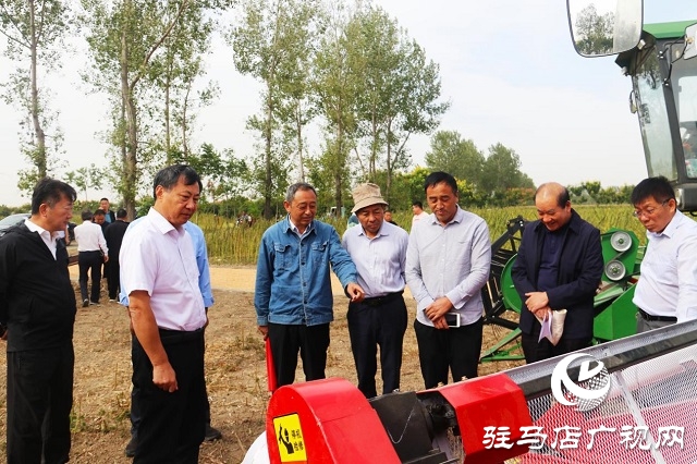 河南省農(nóng)業(yè)良種聯(lián)合攻關(guān)項(xiàng)目&mdash;&mdash;宜機(jī)收芝麻在駐馬店順利收割