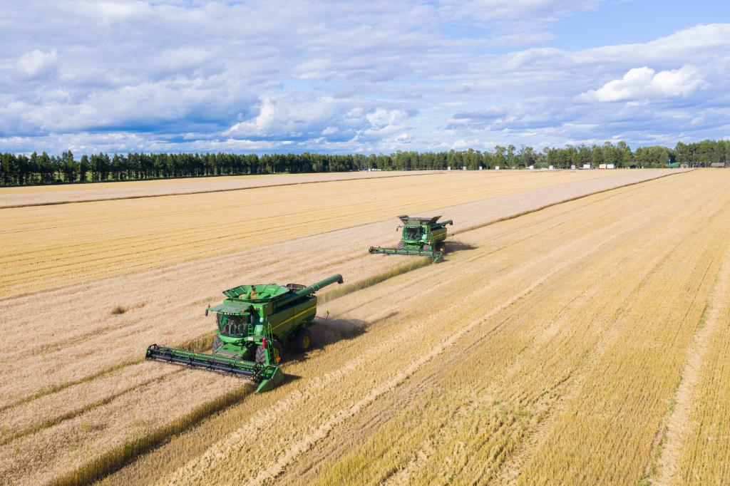 新時代新征程新偉業(yè)·習(xí)近平總書記關(guān)切事丨“北大倉”：當好國家糧食安全“壓艙石”