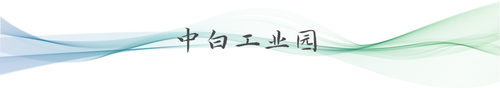 衛(wèi)星視角看“一帶一路”項(xiàng)目