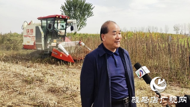 河南省農(nóng)業(yè)良種聯(lián)合攻關(guān)項(xiàng)目&mdash;&mdash;宜機(jī)收芝麻在駐馬店順利收割