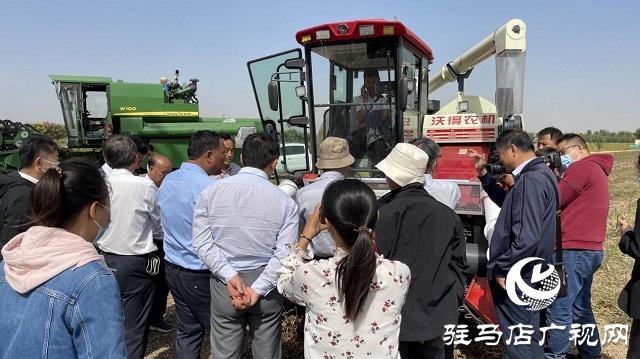 河南省農(nóng)業(yè)良種聯(lián)合攻關(guān)項(xiàng)目&mdash;&mdash;宜機(jī)收芝麻在駐馬店順利收割