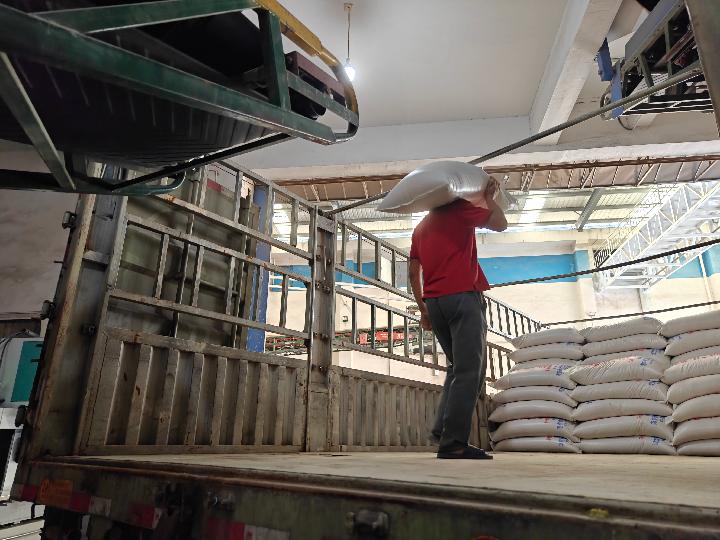 科技護糧倉 產(chǎn)銷對接忙——全國多地秋糧收購一線見聞