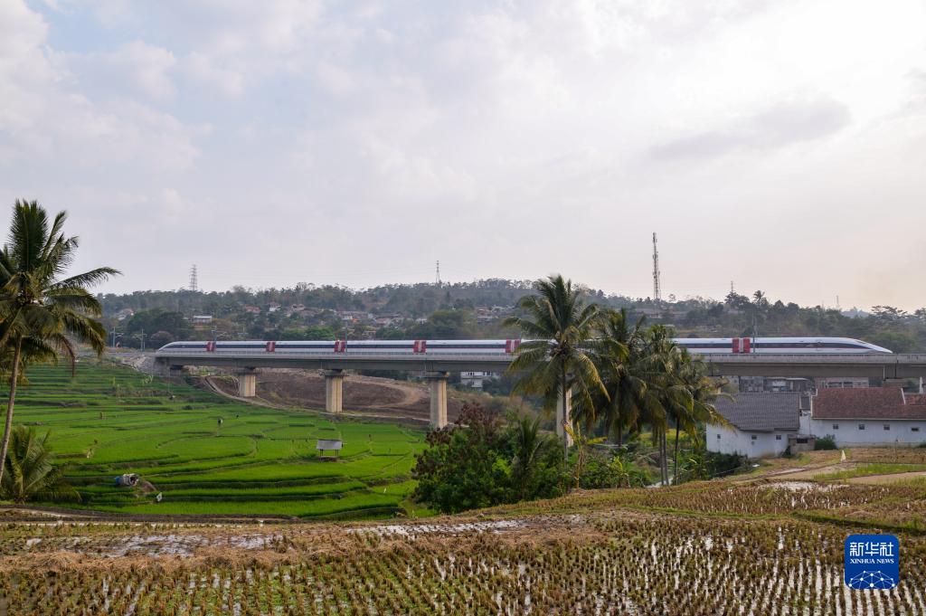 中印尼共建“一帶一路”合作的“金字招牌”——記習(xí)近平主席關(guān)心推動(dòng)的雅萬高鐵正式開通運(yùn)營(yíng)